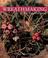 Cover of: Wreathmaking for the first time (For the First Time)