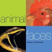 Cover of: Animal Faces