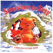 Cover of: Somewhere to Sleep