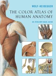 The Color Atlas of Human Anatomy by Wolf-Heidegger