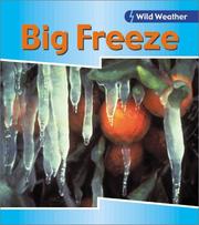 Cover of: Big Freeze (Wild Weather) | Catherine Chambers