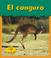 Cover of: El Canguro / Kangaroo (Animales Del Zoologico)