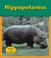 Cover of: Hippopotamus (Zoo Animals)