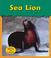 Cover of: Sea Lion (Zoo Animals)