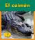 Cover of: El Caiman / Alligator (Animales Del Zoologico)