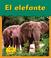 Cover of: El Elefante / Elephant (Animales Del Zoologico)