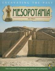 Cover of: Mesopotamia (Excavating the Past)