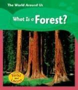 Cover of: What Is A Forest? by 