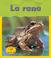 Cover of: La Rana / Frog