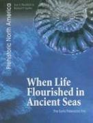 Cover of: When life flourished in ancient seas by Jean F. Blashfield