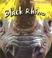 Cover of: Save the black rhino