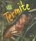 Cover of: Termite (Heinemann First Library)