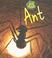 Cover of: Ant (Bug Books)