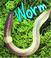 Cover of: Worm (Bug Books)