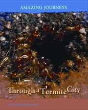 Cover of: Through a Termite City (Amazing Journeys/2nd Edition) by Carole Telford, Rod Theodorou