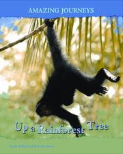 Cover of: Up a Rainforest Tree (Amazing Journeys/2nd Edition)