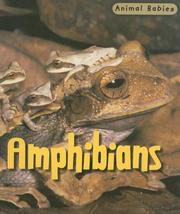 Cover of: Amphibians (Animal Babies/2nd Edition)