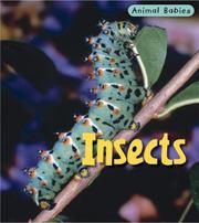 Cover of: Insects (Animal Babies/2nd Edition) by Rod Theodorou