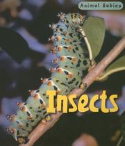 Cover of: Insects (Animal Babies/2nd Edition) by Rod Theodorou
