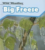 Cover of: Big Freeze (Wild Weather/2nd Edition) by Catherine Chambers