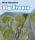 Cover of: Big Freeze (Wild Weather/2nd Edition)