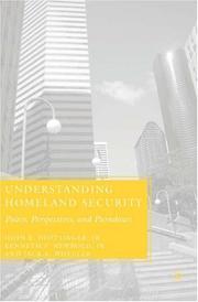 Cover of: Understanding Homeland Security: Policy, Perspectives, and Paradoxes