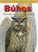 Cover of: Buhos/owls