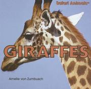 Cover of: Giraffes (Safari Animals)