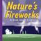 Cover of: Nature's Fireworks: A Book About Lightning (Amazing Science: Weather)