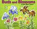 Cover of: Buds and Blossoms