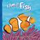 Cover of: I Am a Fish