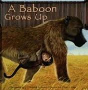 Cover of: A Baboon Grows Up (Wild Animals)