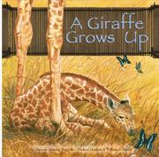 Cover of: A Giraffe Grows Up (Wild Animals) (Wild Animals)