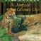 Cover of: A Jaguar Grows Up (Wild Animals) (Wild Animals)