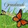 Cover of: Grasslands - LoL Year 1 - Geography Unit 13