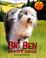 Cover of: Big Ben (Puppy Patrol)