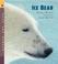 Cover of: Ice Bear