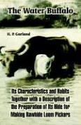 Cover of: The Water Buffalo: Its Characteristics And Habits Together With a Description of the Preparation of Its Hide for Making Rawhide Loom Pickers
