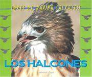 Los halcones by Deborah Kops