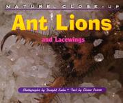 Ant lions and lacewings by Elaine Pascoe