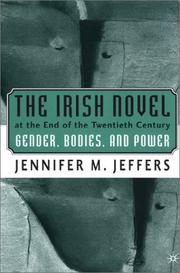 Cover of: The Irish novel at the end of the twentieth century: gender, bodies, and power