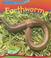 Cover of: Earthworms