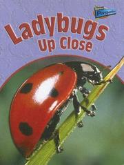 Cover of: Ladybugs Up Close (Minibeasts Up Close)