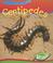 Cover of: Centipedes (Creepy Creatures)