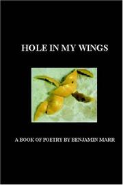 Cover of: Hole In My Wings