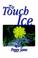 Cover of: To Touch Ice
