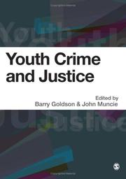 Cover of: Youth Crime and Justice by 