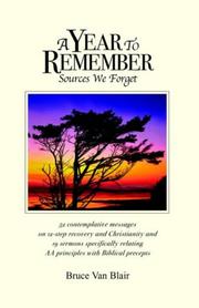 A Year to Remember by Bruce Van Blair