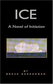 Cover of: Ice: A Novel of Initiation