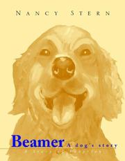 Cover of: Beamer by Nancy B. Stern